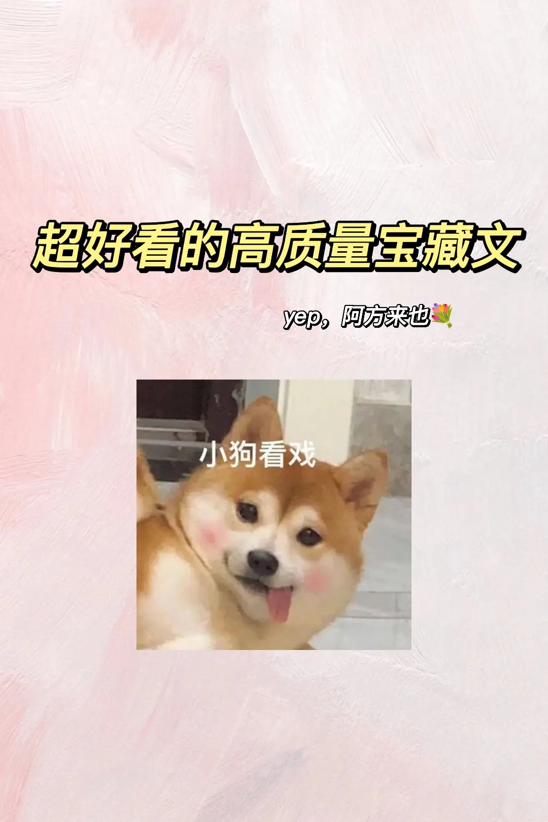 宝藏文~阿方来咯！✨