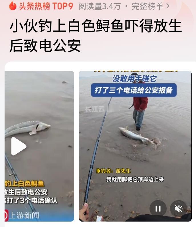 抓鲟鱼后果超严重！最高判十年以上
 
千万别碰中华鲟、长江鲟这些国家一级保护鲟鱼