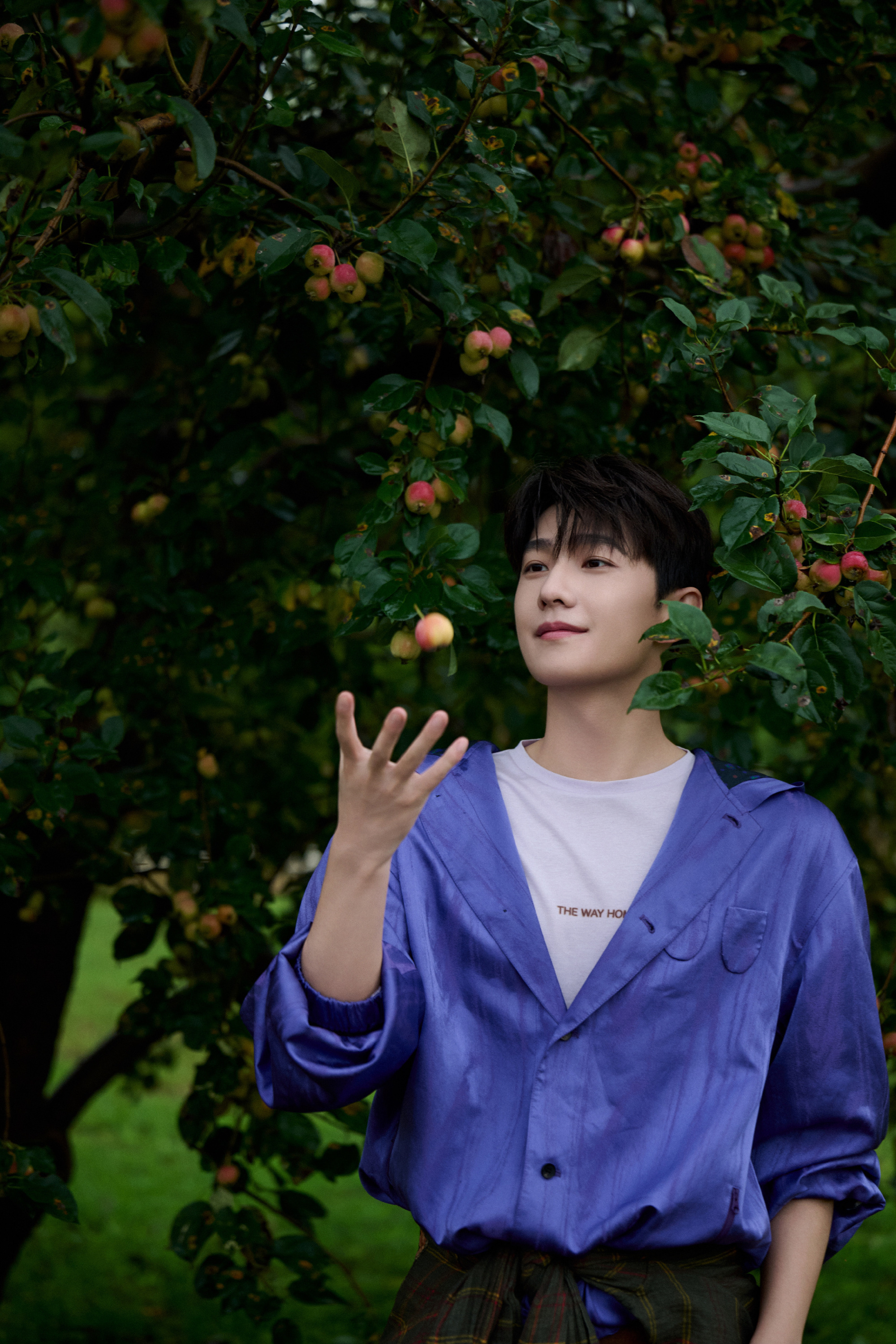 杨洋生日大片 祝我哥哥生日快乐🎂杨洋0909生日快乐 ​​​