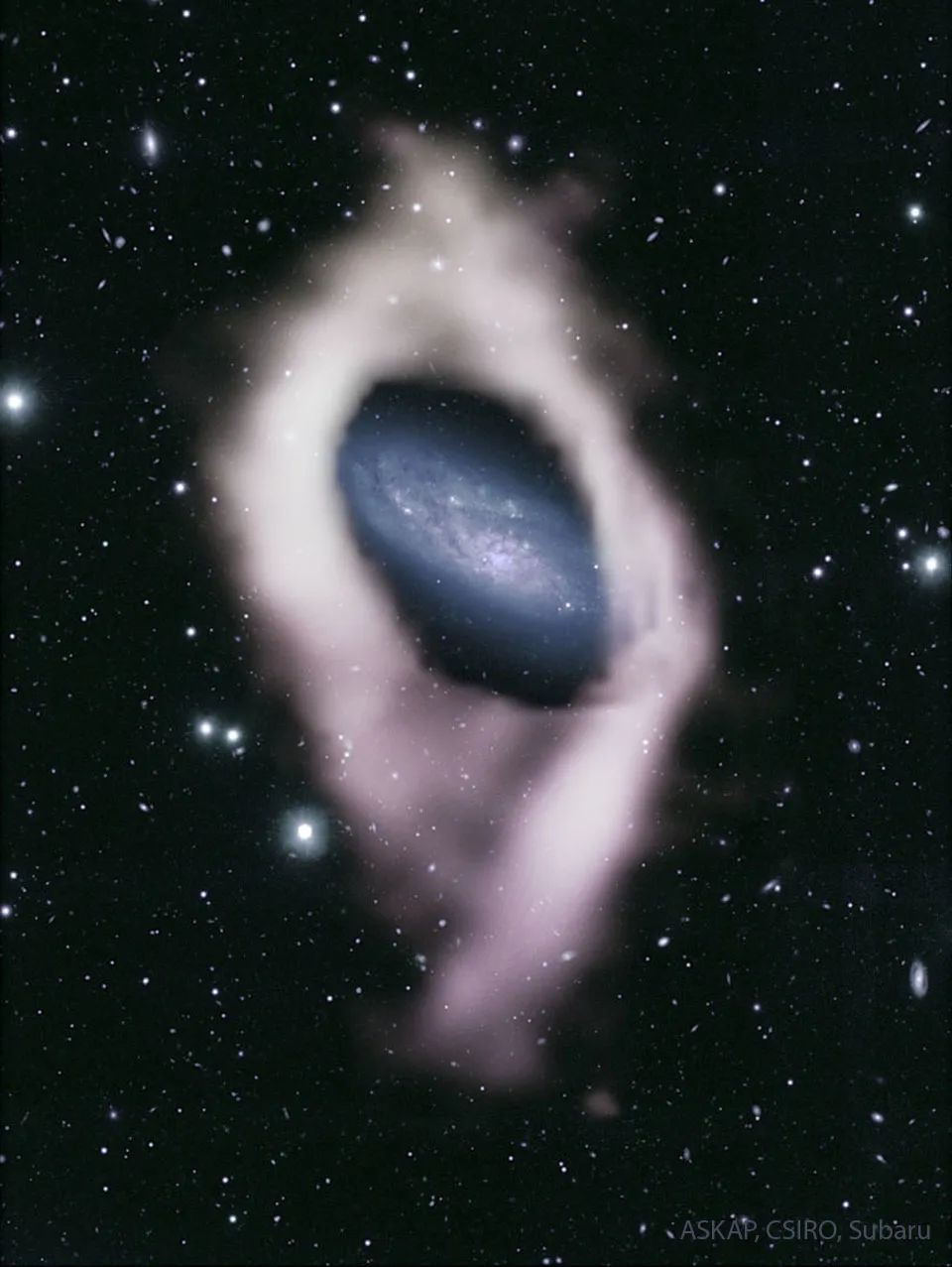 星系NGC 4632对光学望远镜隐藏着一个秘密，它被环绕的冷氢气体环包围，这个气