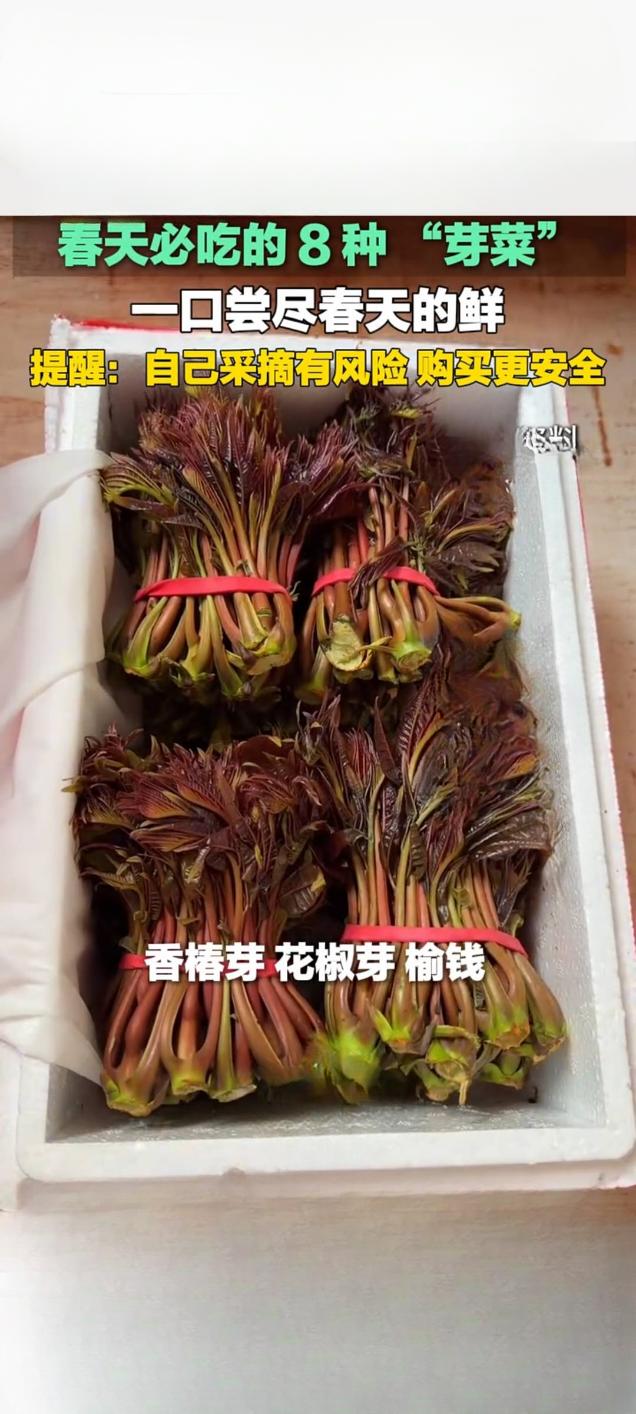 春日尝鲜正当时 八种芽菜成餐桌新宠 专家提醒勿自行采摘
 
春日万物生长，各类鲜