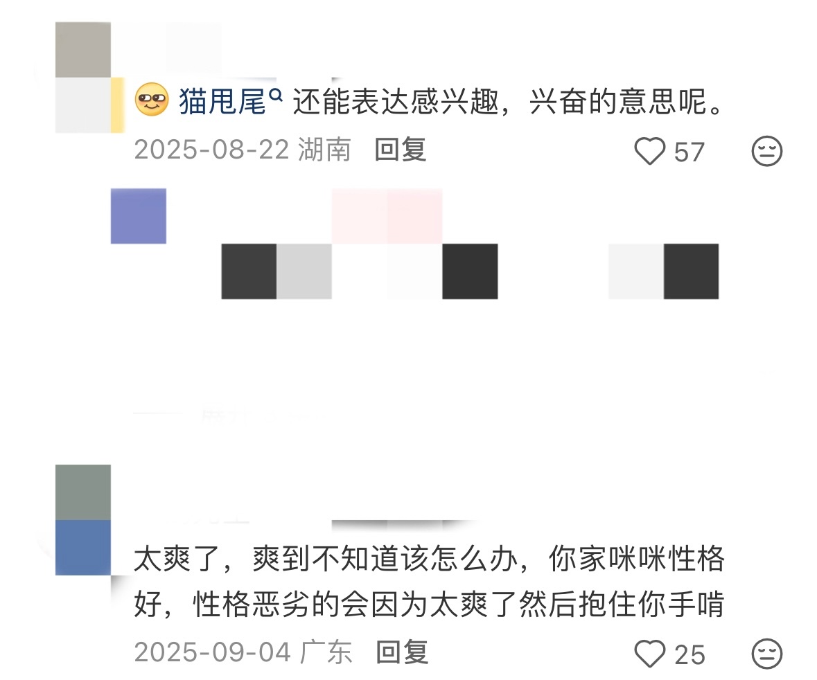 太监猫你别甩尾巴了，我害怕 