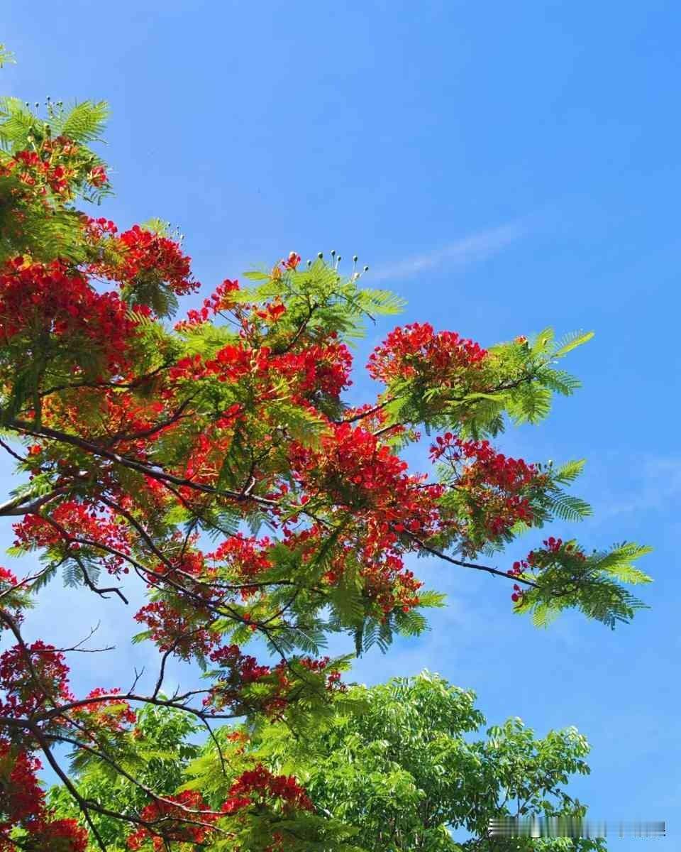 同事七八年不交水电公摊费，物业愣是拿他没辙。
这事听着新鲜，细想却把物业费那点猫