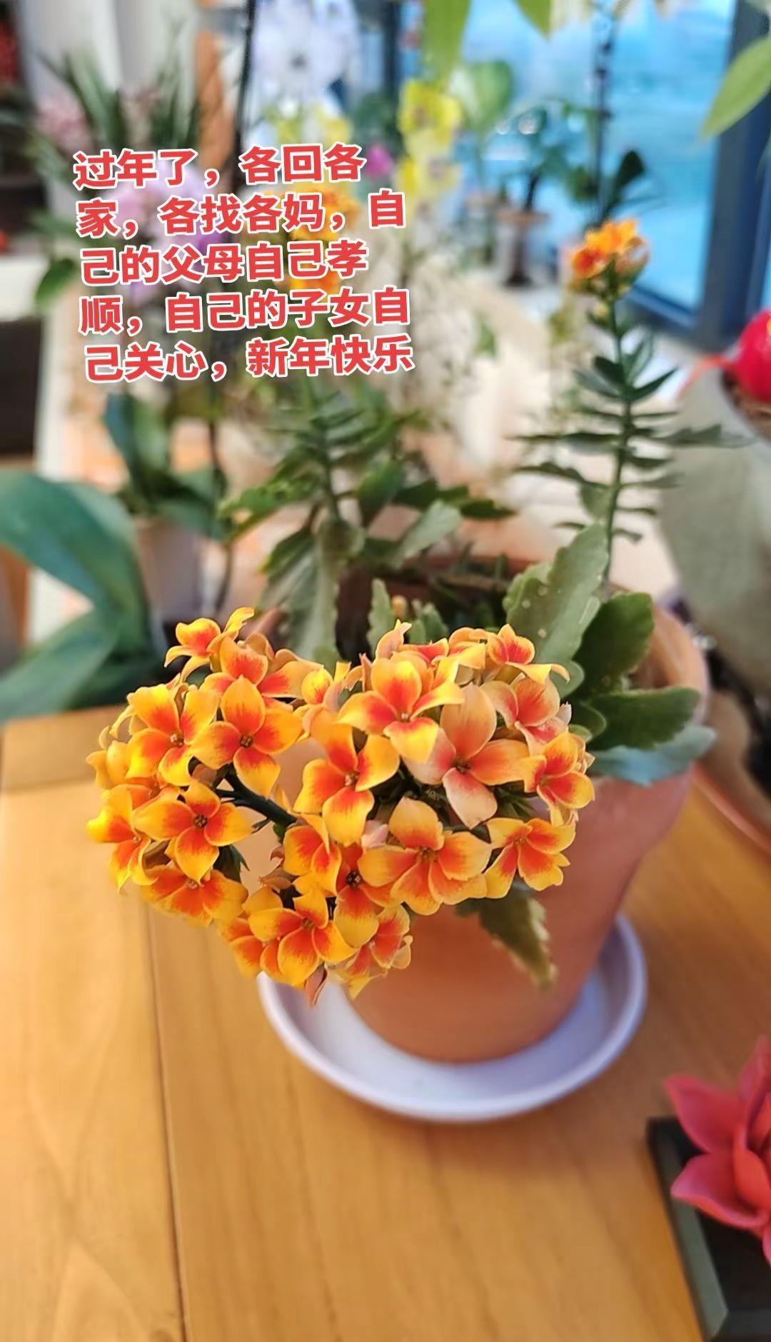 渐渐的爱上了现在的自己，不惧失去谁，不屑讨好谁，你的轻视，与我无关，有人理解，是