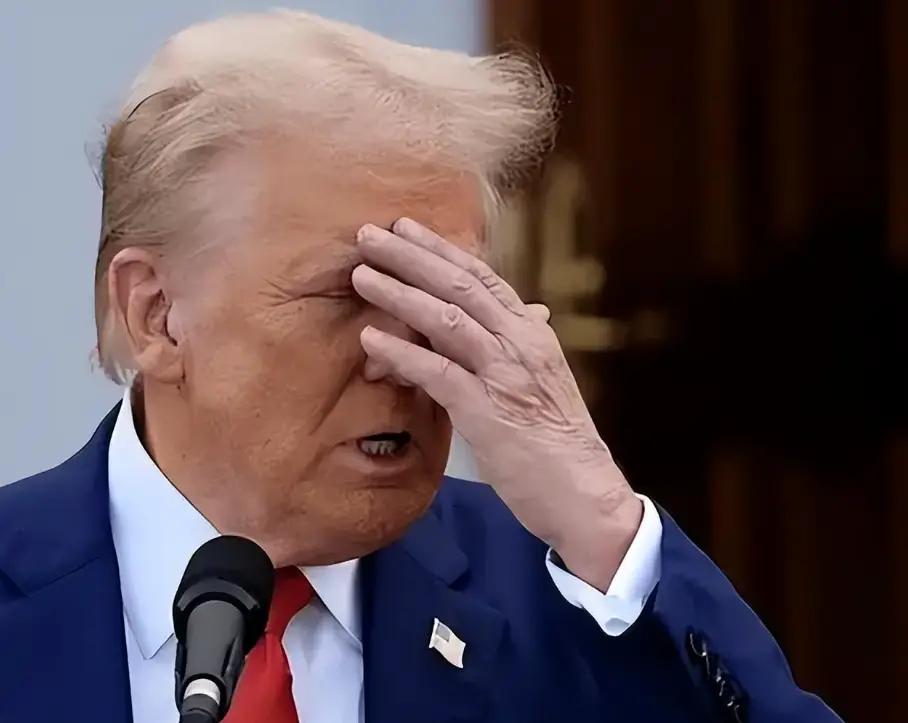 中国稀土新规卡住全球命脉，
美国急得跳脚却没人帮腔

这回中国出了个狠招。稀土新