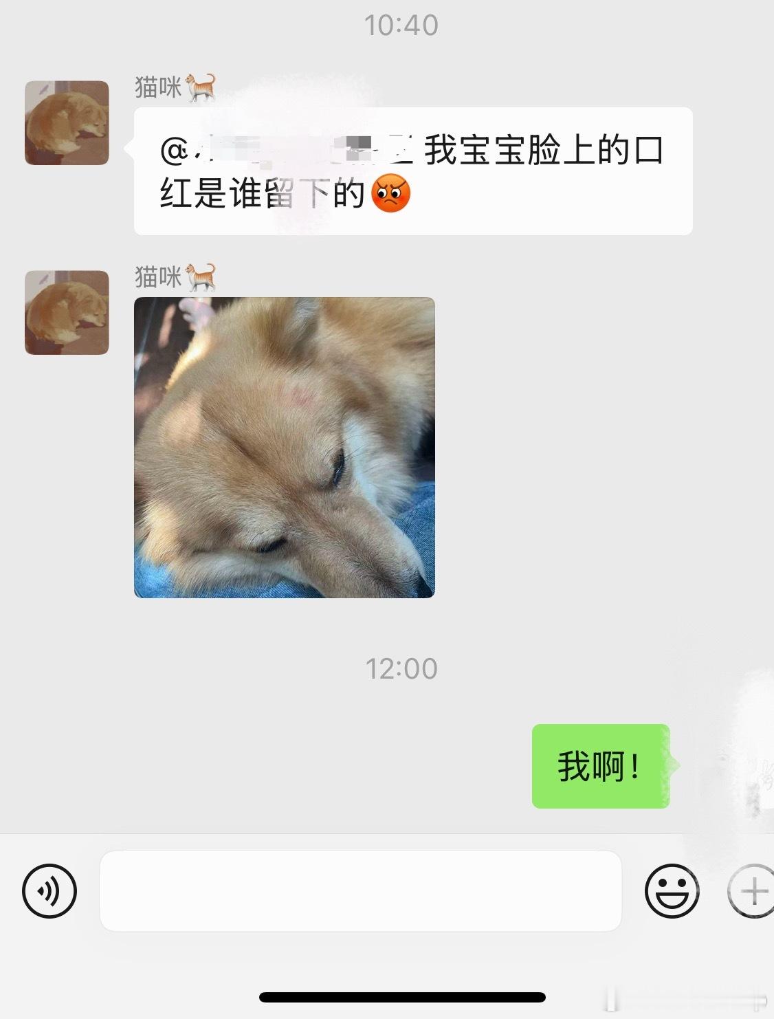 呵呵呵呵👄今日的口红色号，在狗头上揭晓！家人们猜对了吗[太开心] ​​​