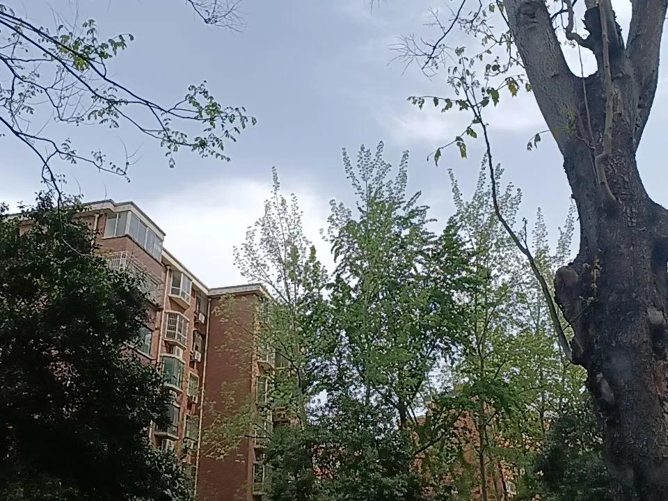 韩国把量化交易停了，而且停的是量化卖空，说明量化在韩国，不是由韩国亲自下场操作的