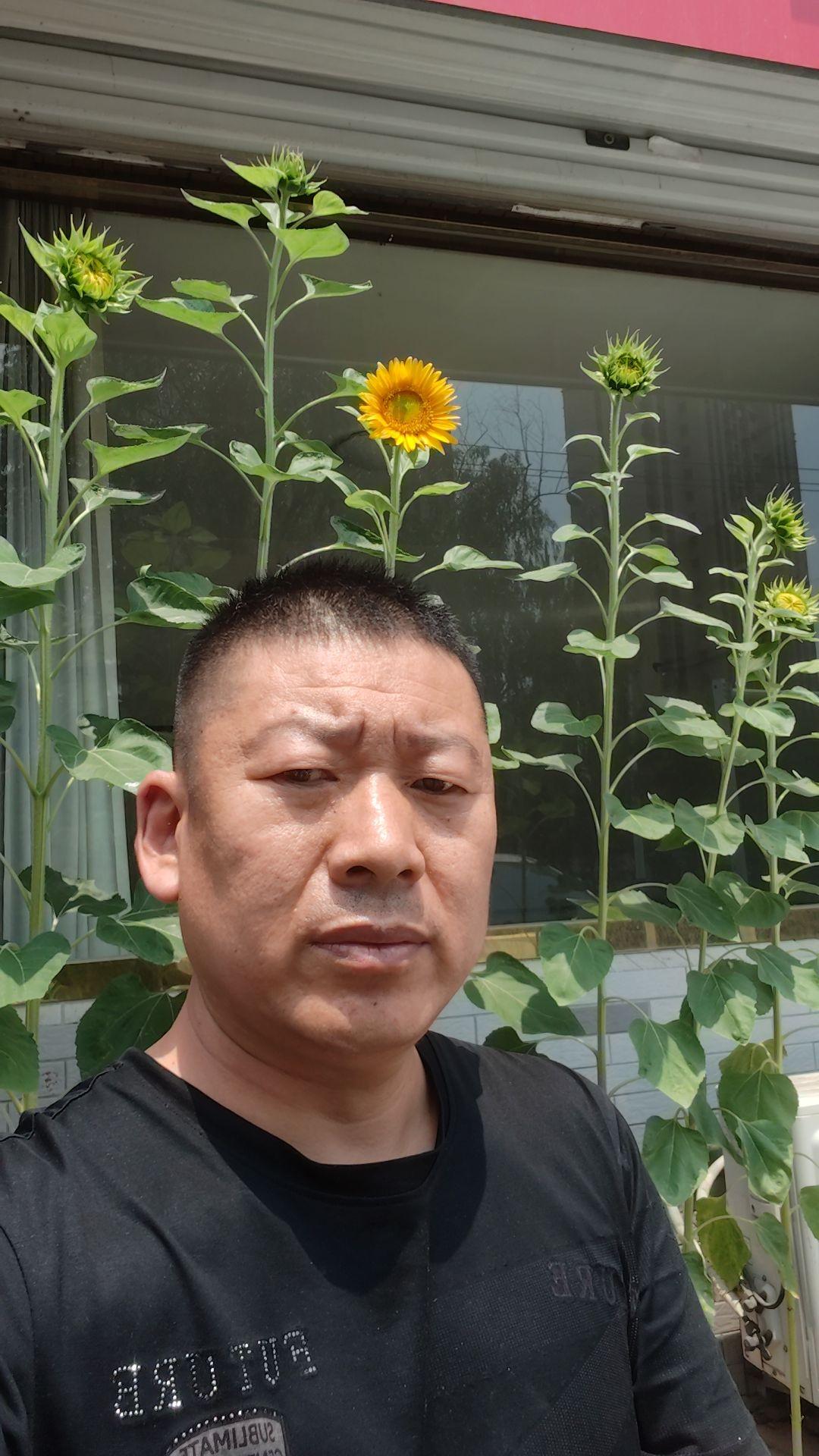 生活简单就好