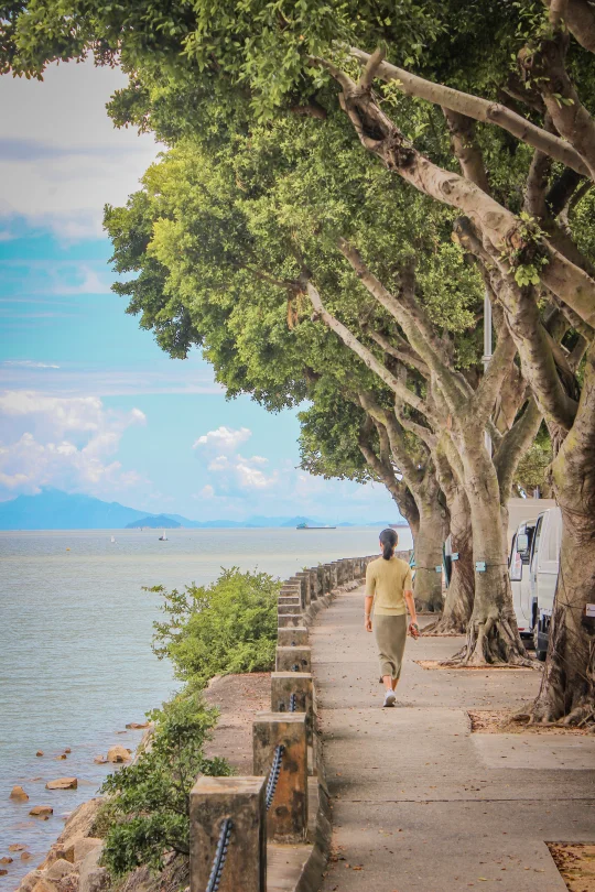 海径徒步+citywalk，我在澳门走不一样的路线