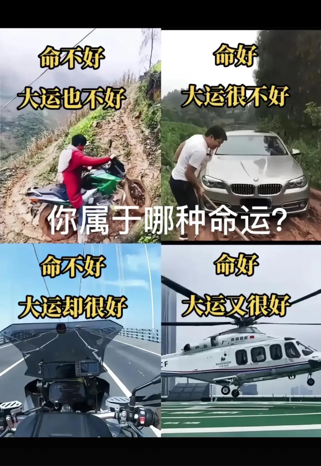 你属于那种命？？？？