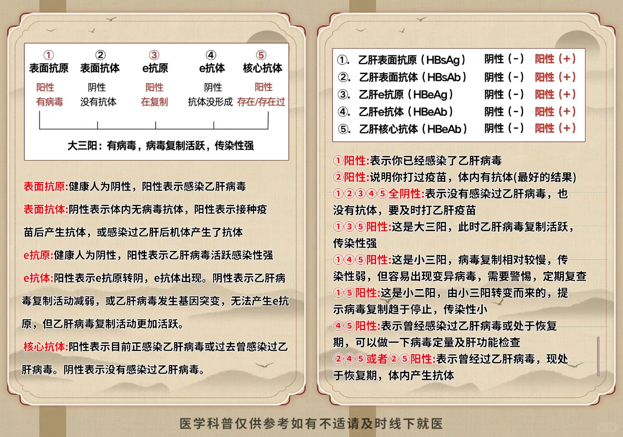 乙肝五项全面解读！