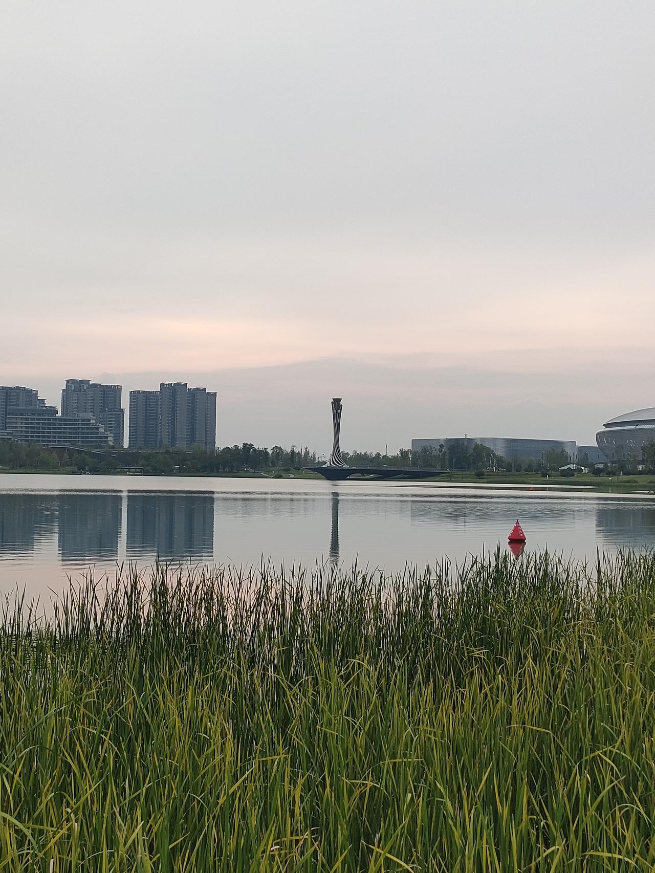 今天上午又去游泳了，口诀背的好，就是游久了动作还是不多协调。不过现在可以游10个