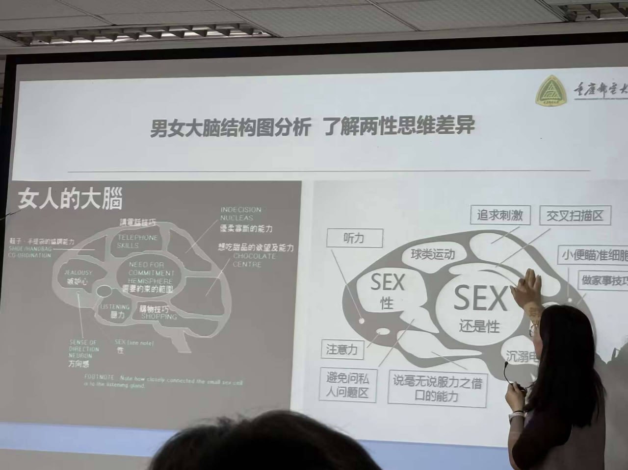 顺顺眼中的男女大脑结构