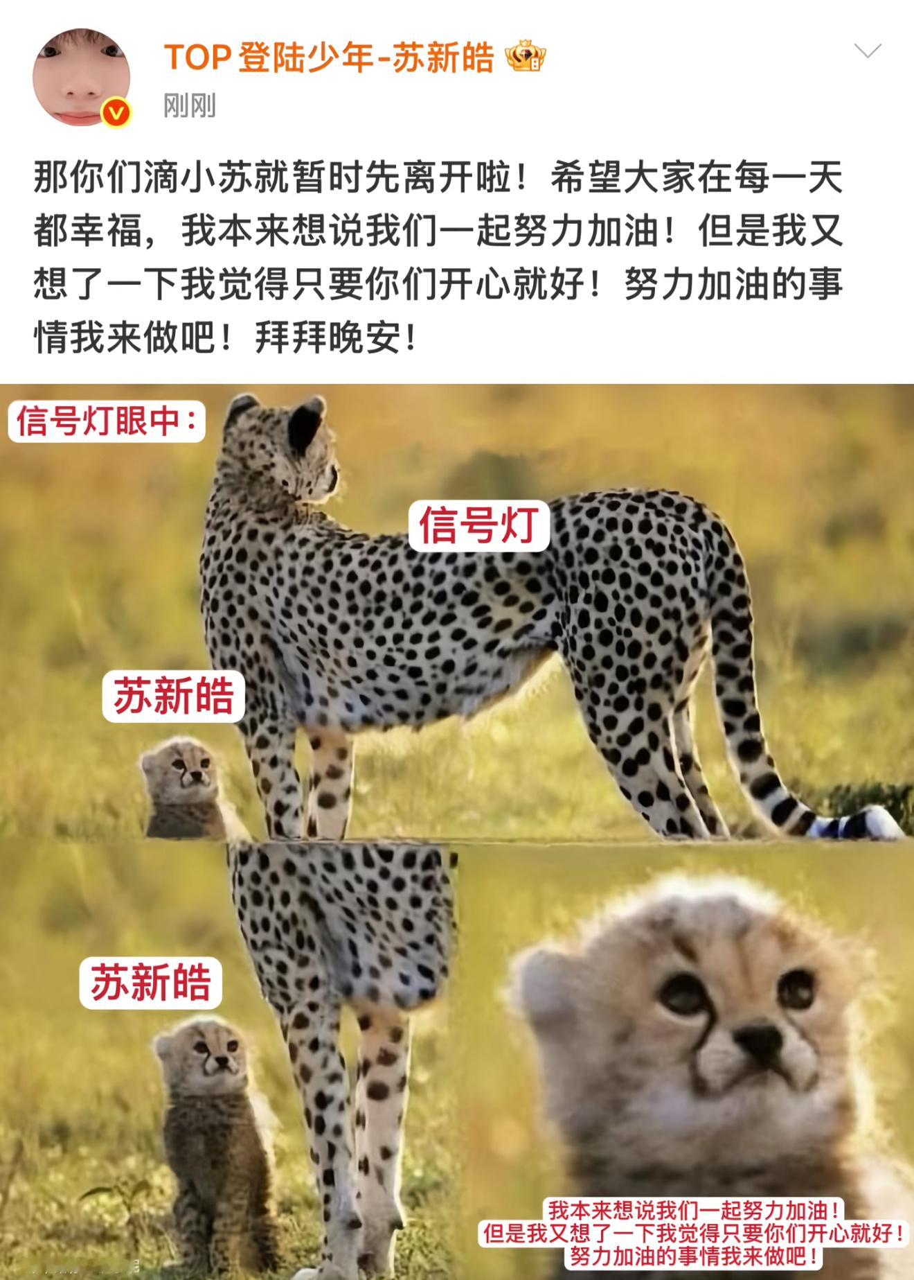 苏新皓年纪小但疼人苏新皓