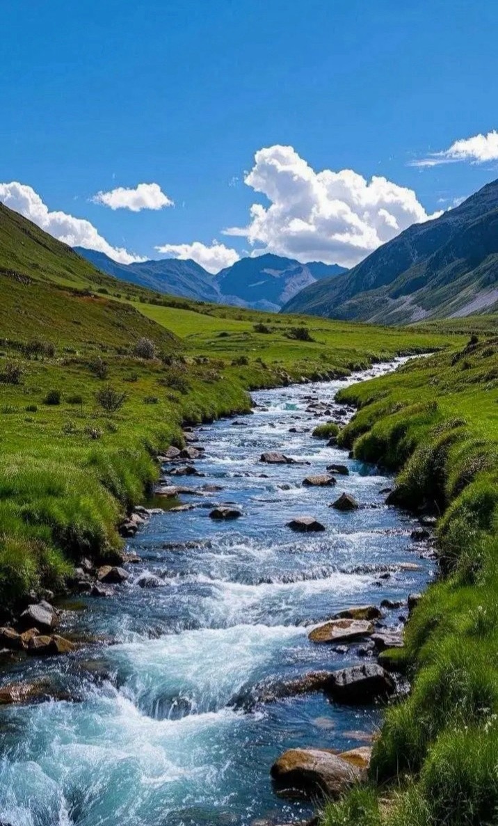 周一场内不会低开的，周五纳指涨1.5点，周五场内杀过溢价，所以周一起码高开1-1