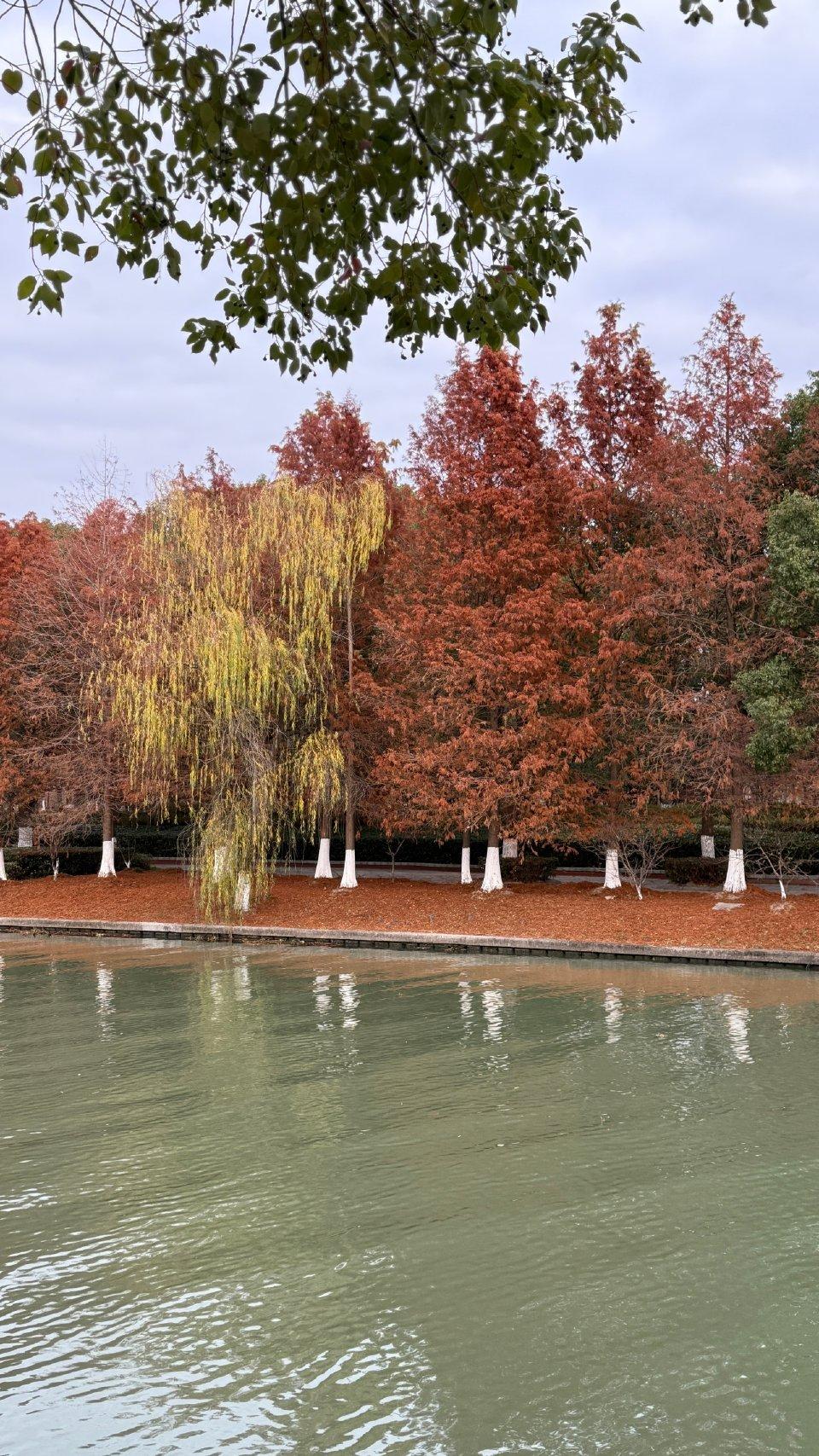 做一个有独立思想的人，主动探索世界的“为什么”与“怎么样”，而非被动执行的机器。