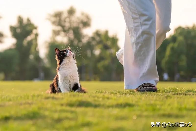 法国这波操作挺有意思。法国财政部长说要动用战略石油储备稳定市场，经济部长莱斯屈尔