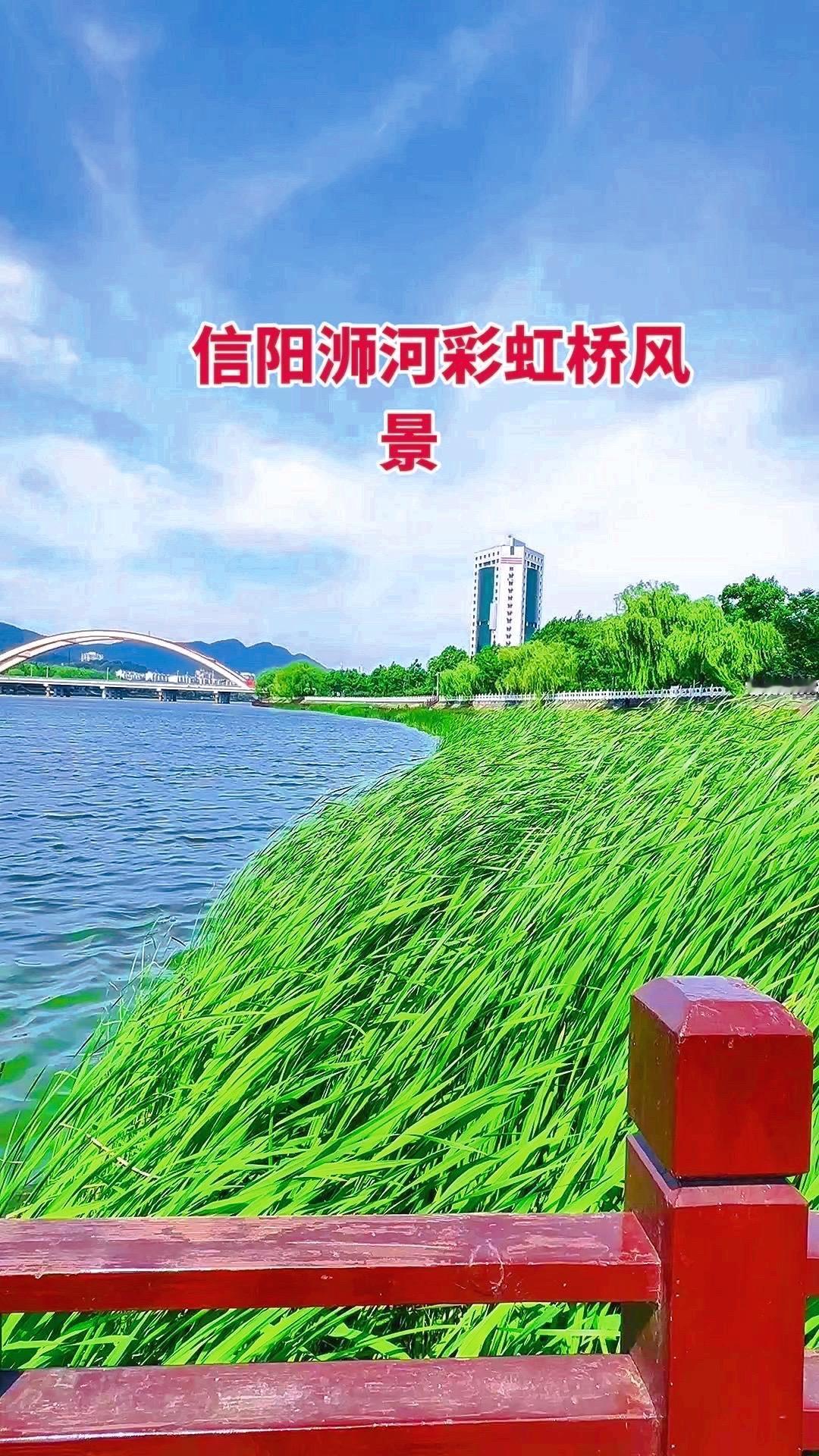 🌉在信阳遇见江南，原来真的有这样的地方！
漫步浉河岸边，虹桥横跨两岸，河水悠悠