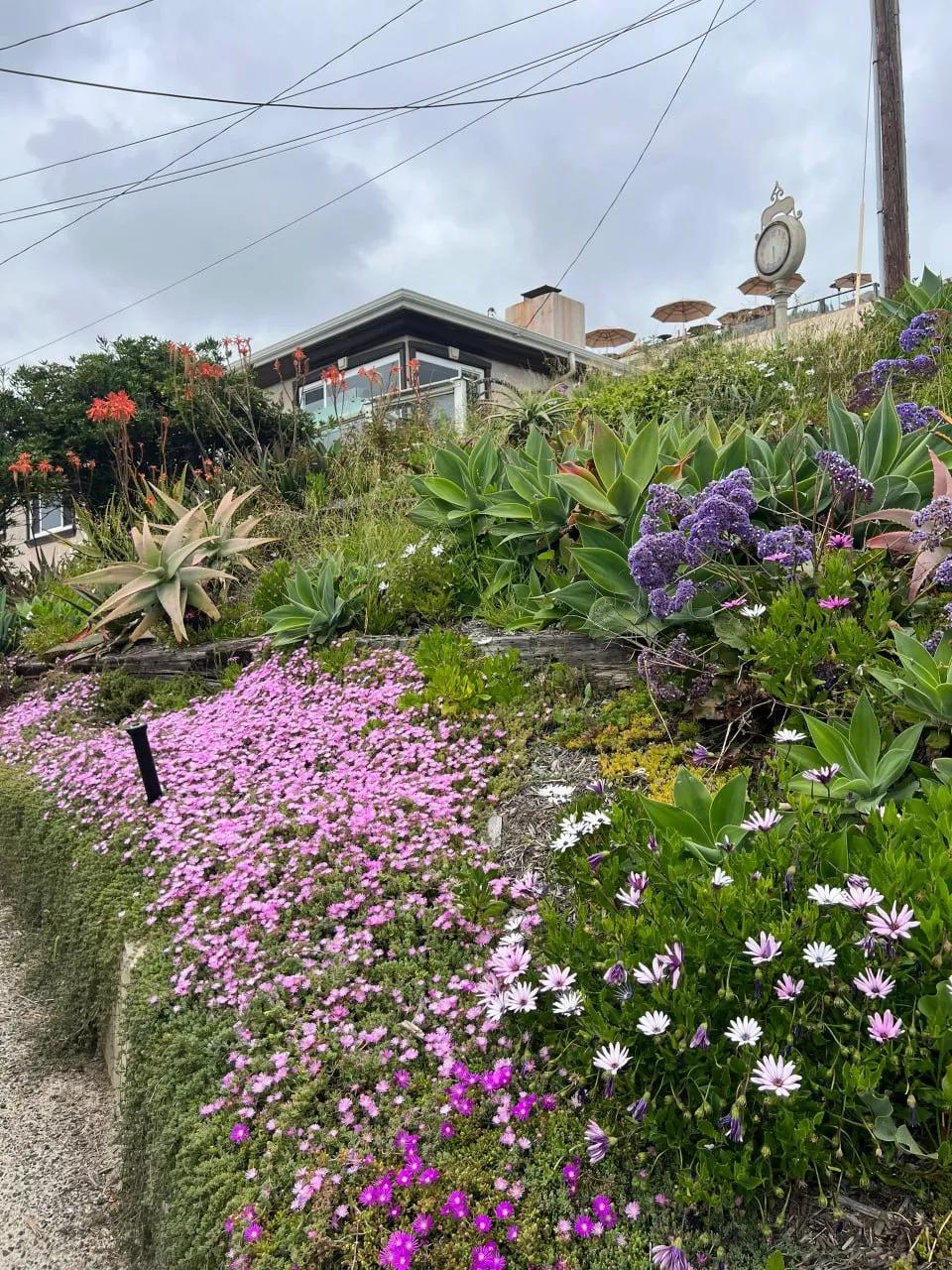 Laguna Beach
拉古纳海滩，LA天花板分享一张你最近随手拍的照片吧