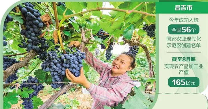 新疆昌吉市——科技赋能农业产业延链增效