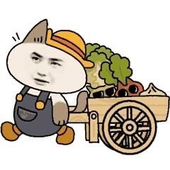 今晚吃肉汤煮小白菜，白煮肘子，生腌虾，土匪猪肝。 