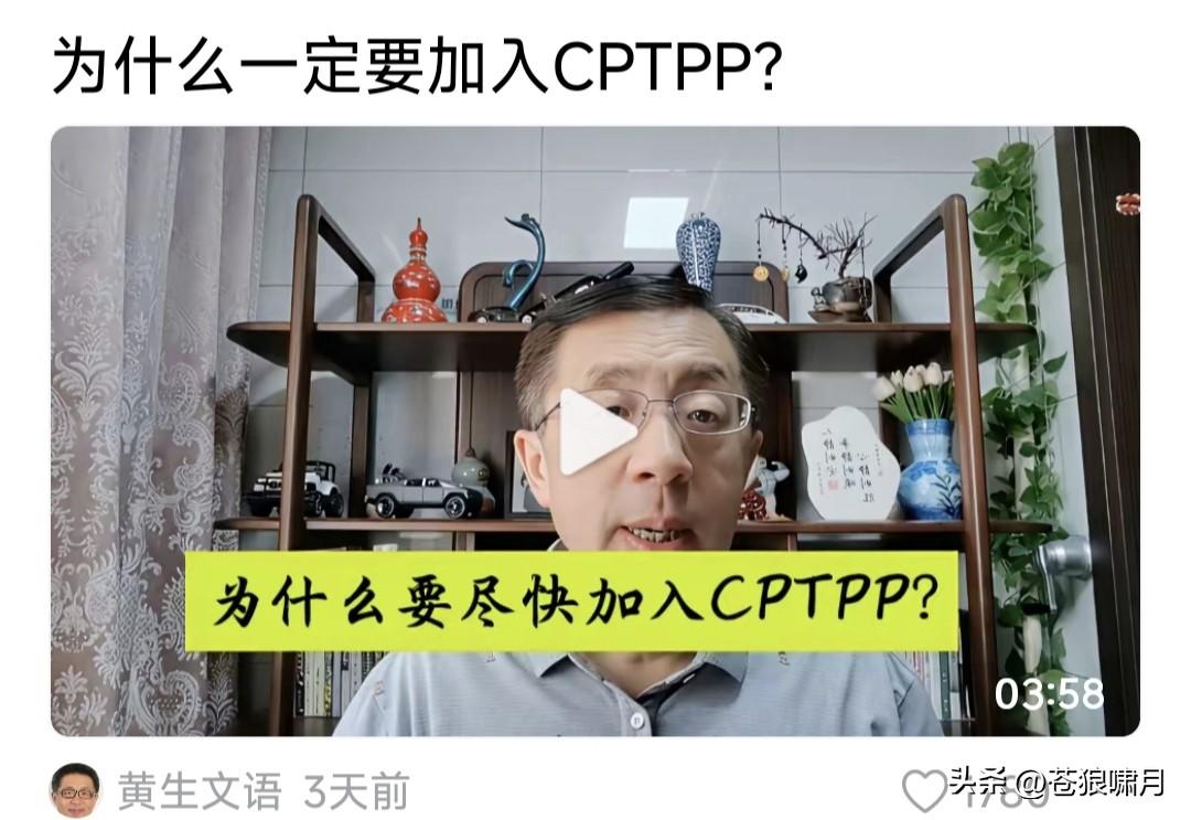 网友希望中国早日加入“跨太平洋经贸合作组织”CPTPP！不惧非议慷慨陈词爱国之心
