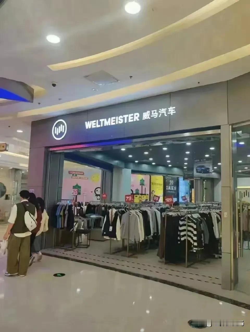 威马变森马，尘归尘、土归土，老板还是吃人的老虎，留下车主在风中吃土。