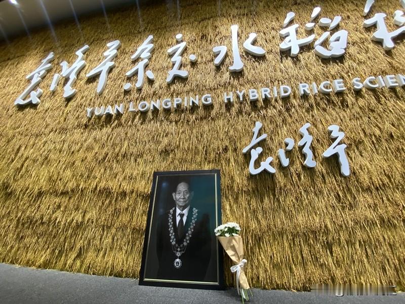 袁隆平和其他科学家贡献那简直大到无法估量！就说袁老，他研究出的杂交水稻，让无数人