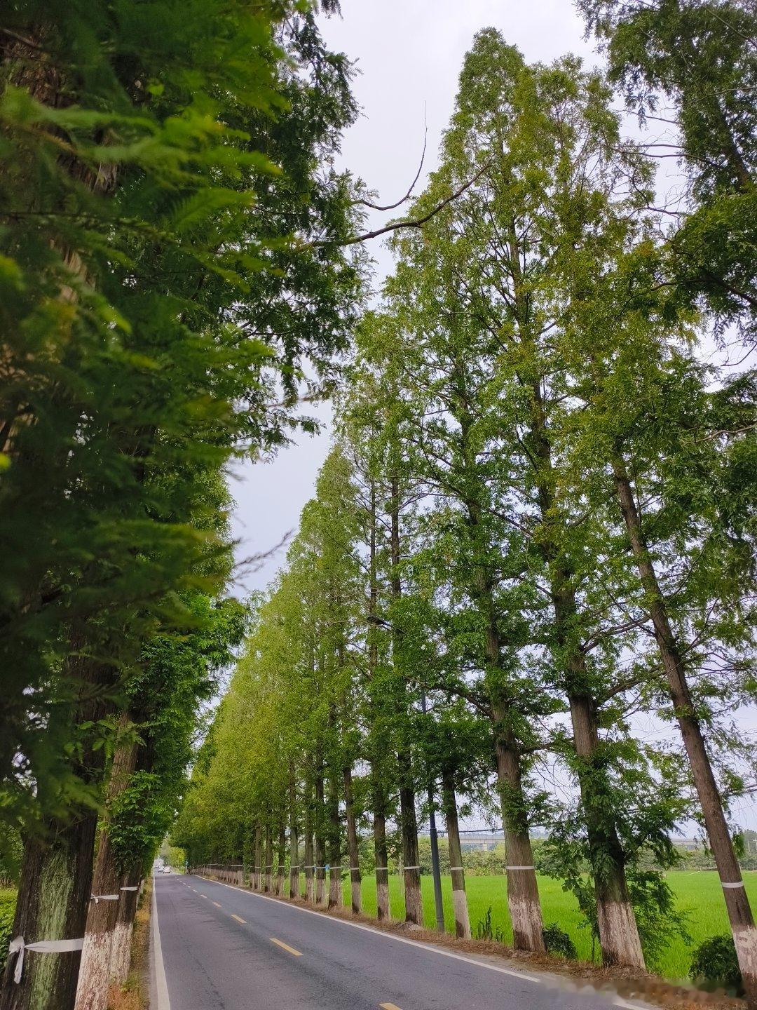 让孩子刷短视频，孩子就会沉迷，因为孩子如果刷短视频，刷到的内容都是一群算法研发工