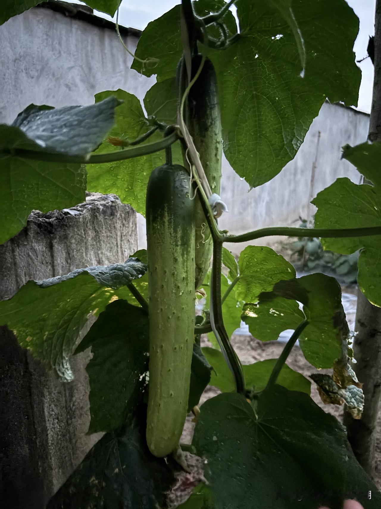 银行人员三番五次打电话要加我的微信是什么意思？

昨天还在医院，接到一个电话，自
