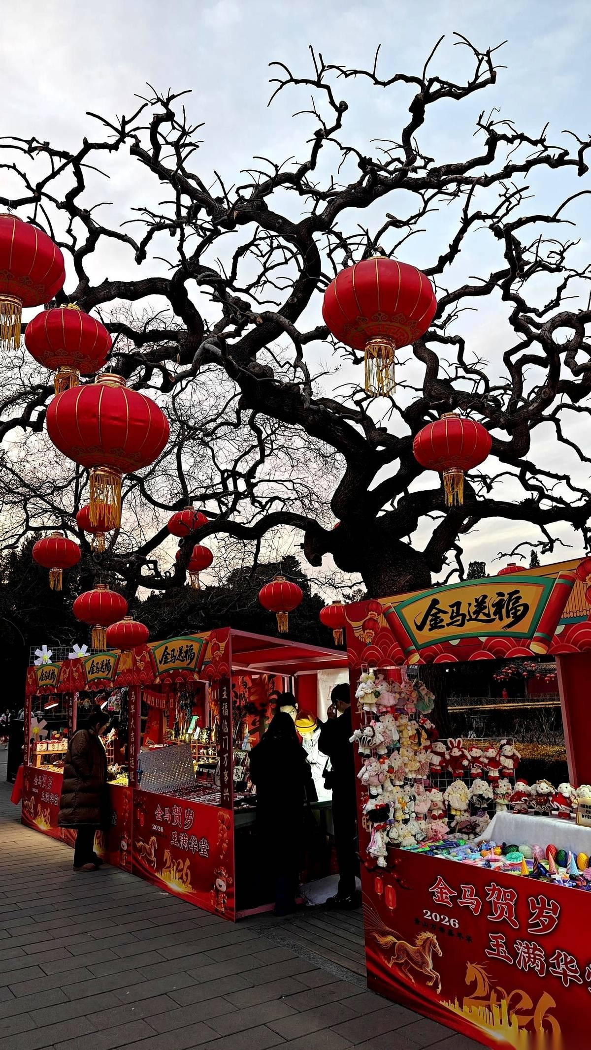 总琢磨着，等我把老的都安顿好，小的也拉扯大，我就彻底自由了。
想去哪儿去哪儿，爱