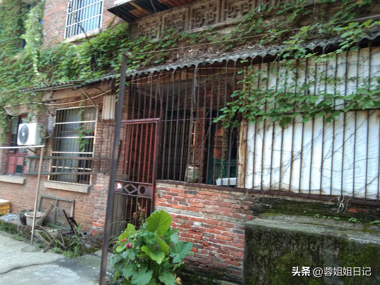 刚才，吃了晚饭之后，我和先生散步散到了大塘角。首先，我到复印店把我的充电器拿回来