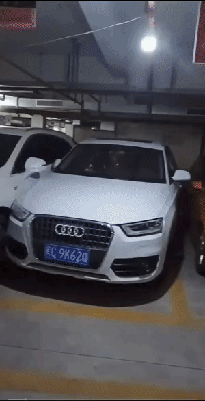 开始以为前面4辆已经天下无敌了，没想到还有更厉害的。