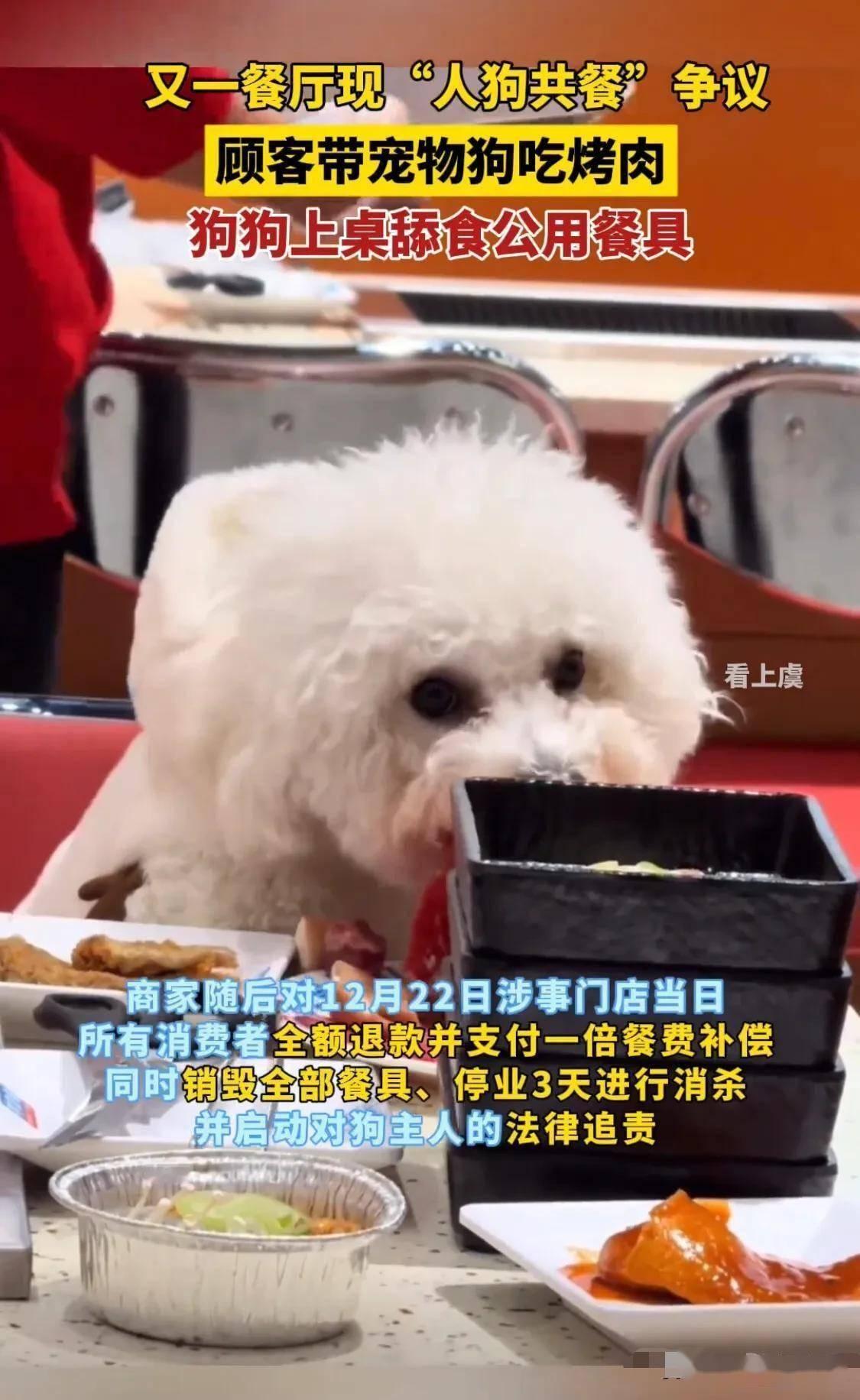 宠物狗上桌啃生肉 烤肉店停业3天

太膈应人了，近日北京王爷府南门涮肉石榴园北里