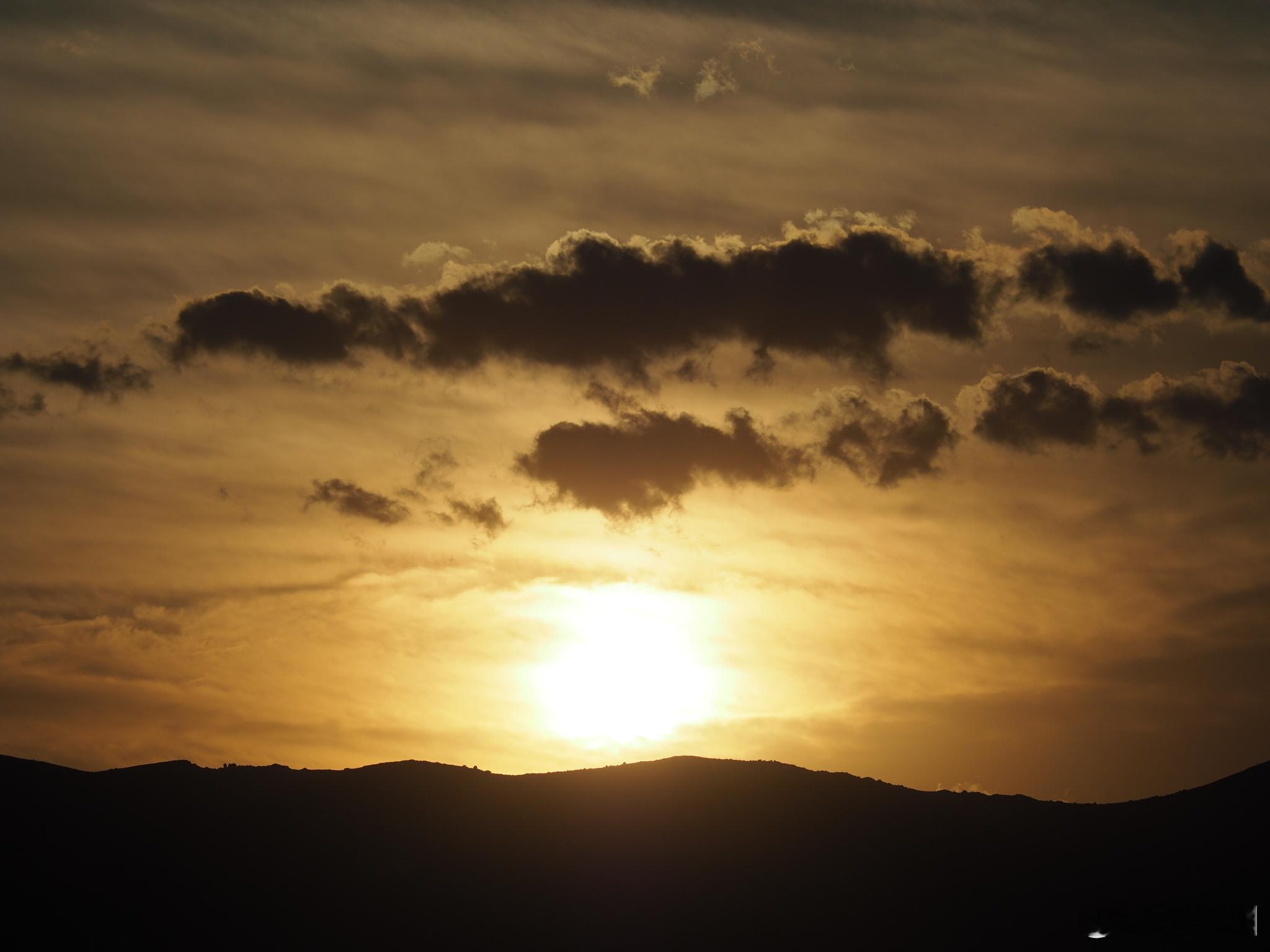 回首往日时光，那次老老家邂逅的麦穗和夕阳夕阳夕阳察右中旗 奥林巴斯PEN-F 4