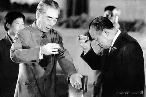 致敬周总理：胸怀天下守和平，天下为公照千秋
 
提到周总理，我们总会想起他儒雅的