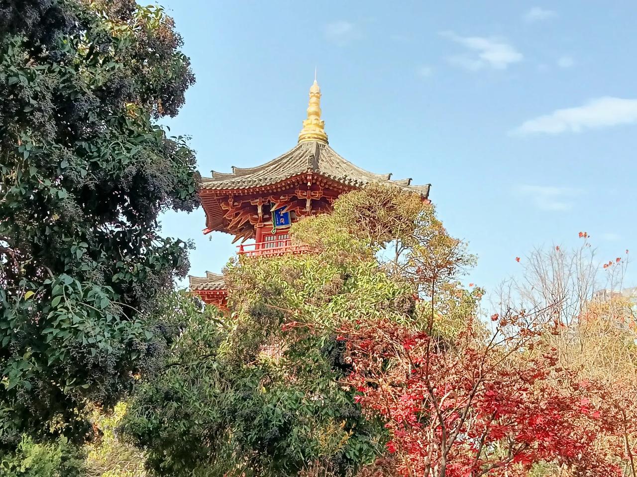 缤纷幻彩兴庆宫