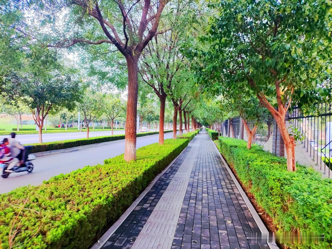在西安有这样的城市道路你喜欢吗？干净整洁！
