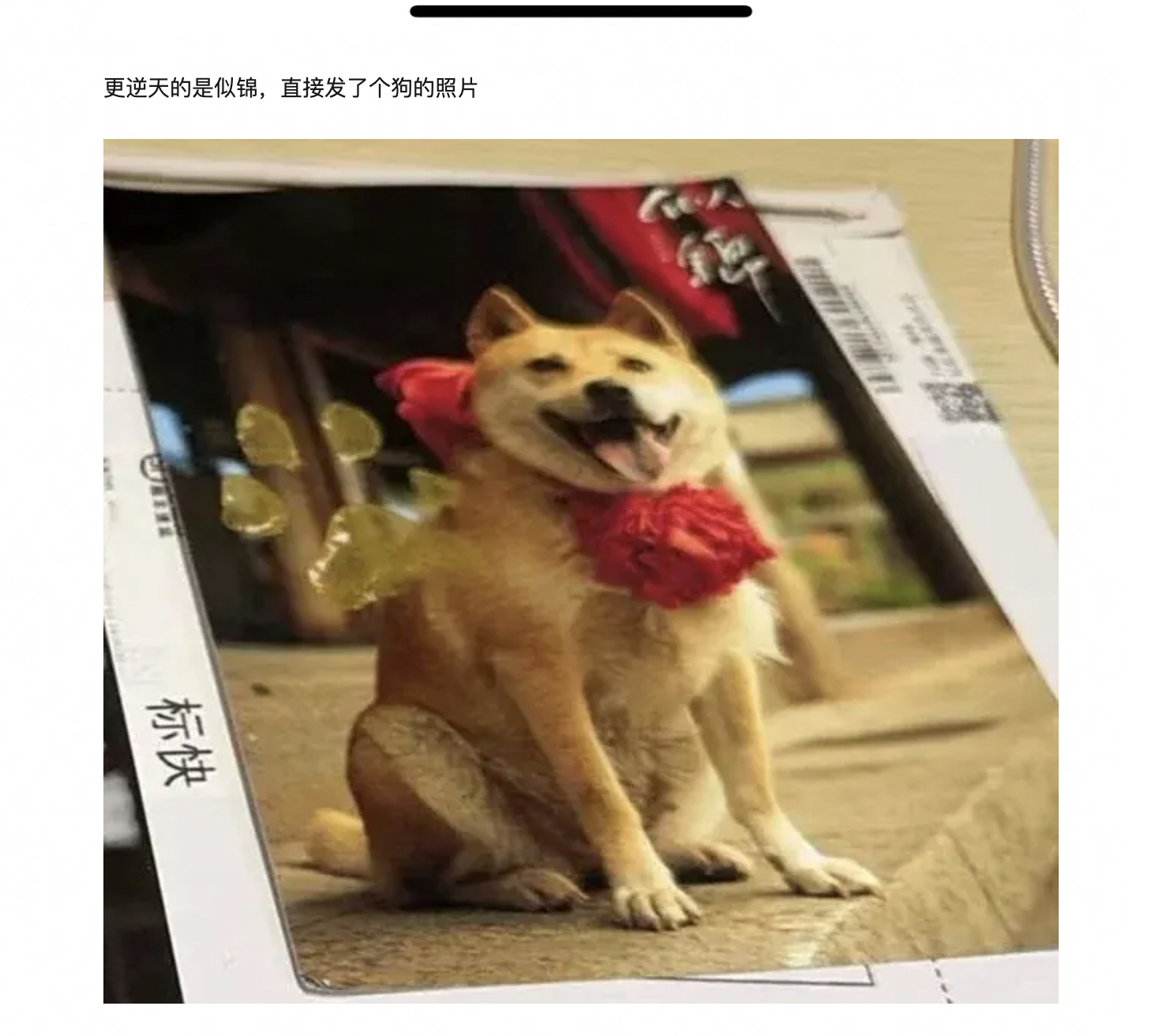 爱奇艺成何体统主演亲签，玩不起是吧