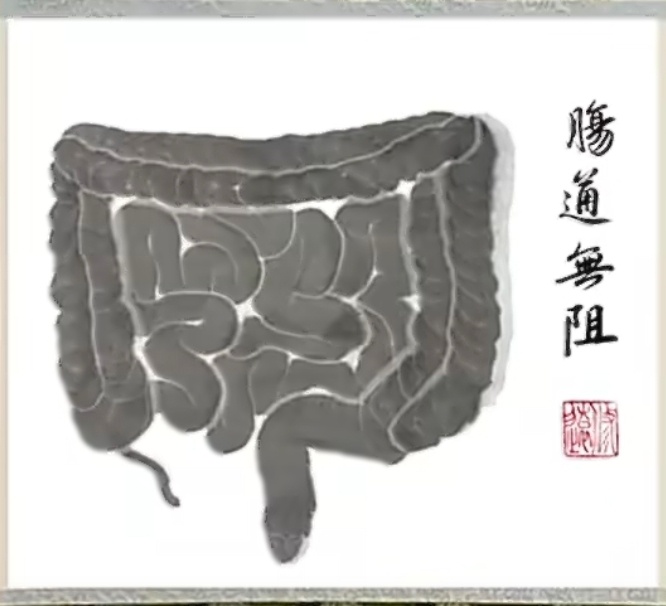 学医的和学画画的都沉默了   拿走挂厕所，绝对会肠通无阻 