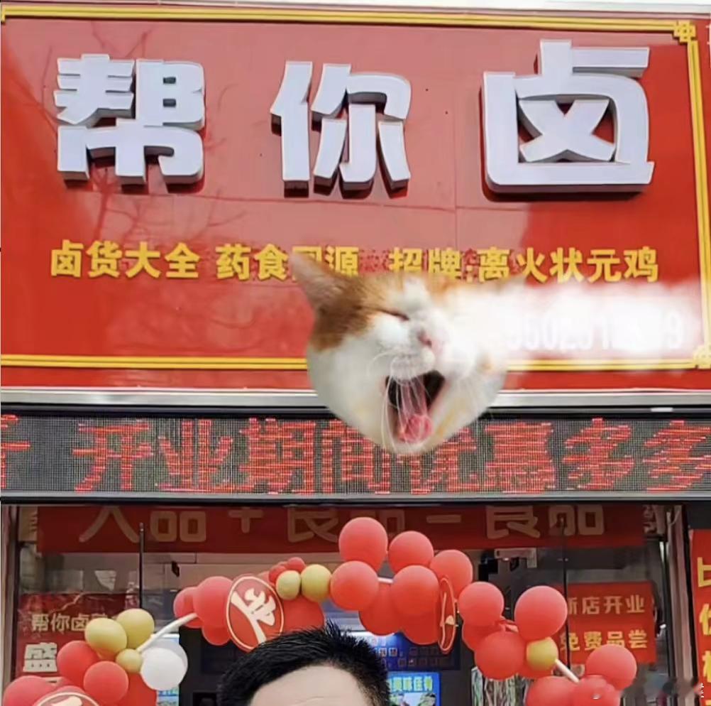 帮你卤 ​​​