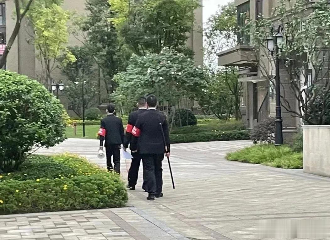 两岁女童被烈性犬咬伤之后。围绕着犬类伤人，尽管事发小区组织了巡逻队，但养狗的业主
