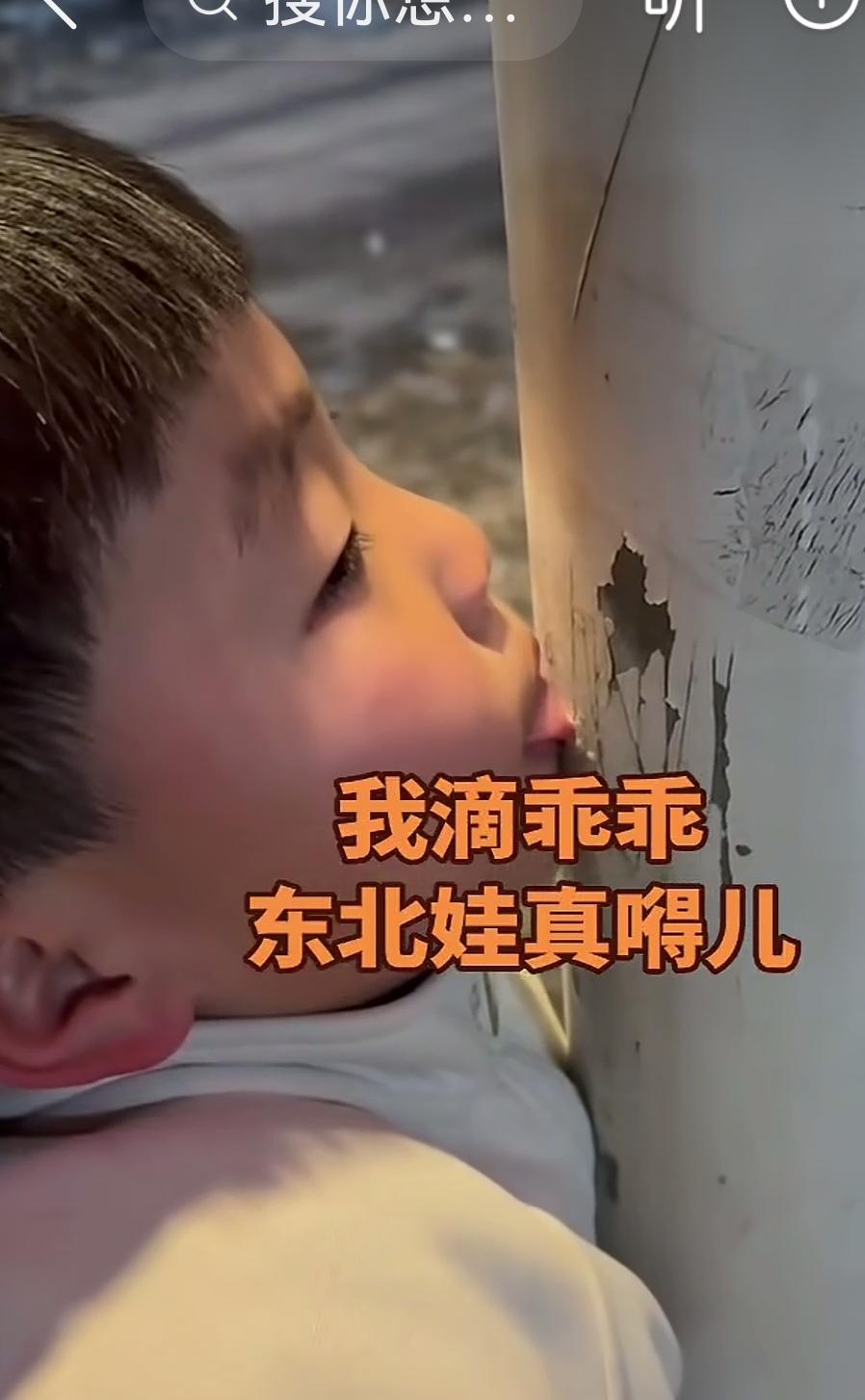 瞧瞧东北孩子多会玩，竟把舌头冻粘在电线杆子上了。自己既不敢说话，也不敢动弹。
最