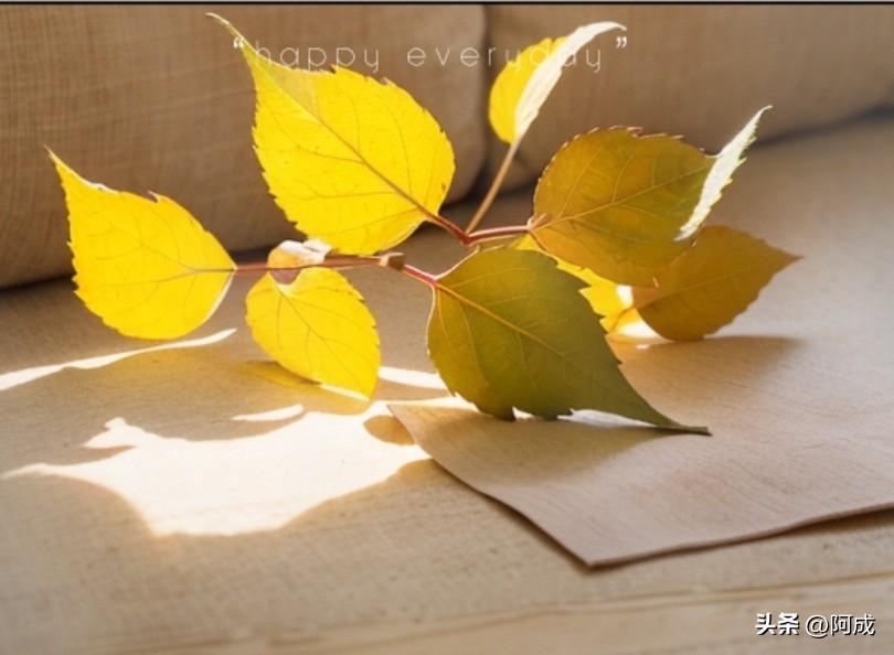 遇事总把外因挂嘴边，从不愿低头审视自身疏漏。这般遇事推诿、不肯自省的心态，既缺直