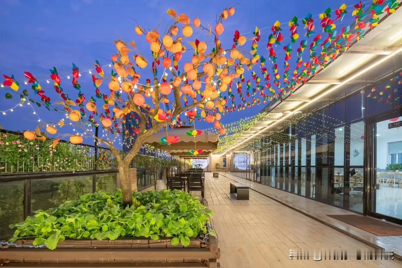 冬日生活打卡季火树银花，又是一年