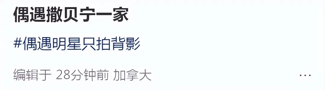 撒贝宁随李白回加拿大探亲，俩人带着龙凤胎闲逛，都不上班好悠闲！ ​​​