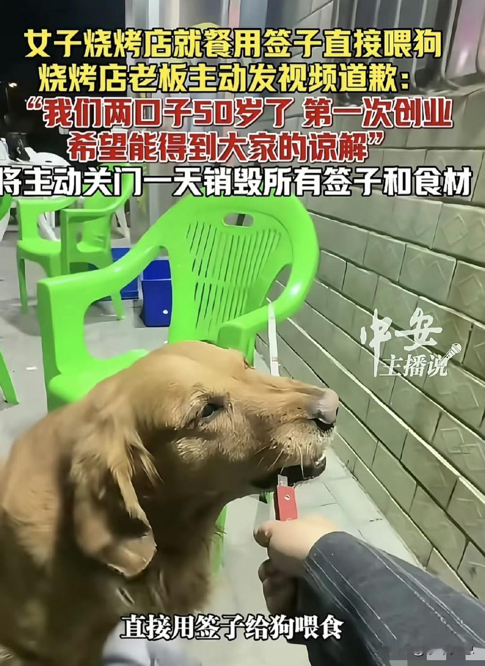 到底是什么样的爱狗人士，会拿烧烤店给人用的铁签子去喂狗，还用脚踢狗头？！【图二】