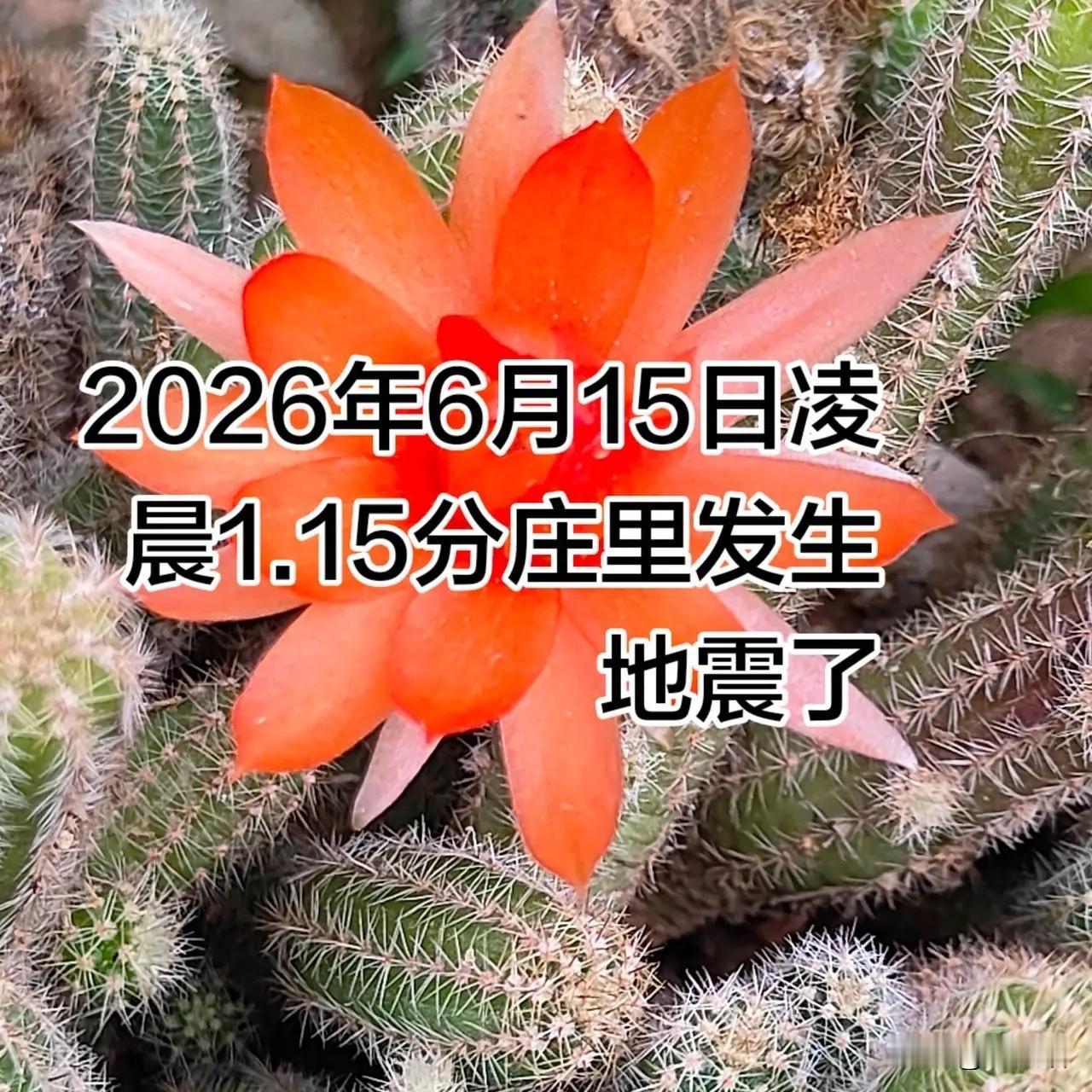 凌晨1点15分，
手机突然狂响，床跟着晃了两下，
你第一反应是啥？

今天凌晨这