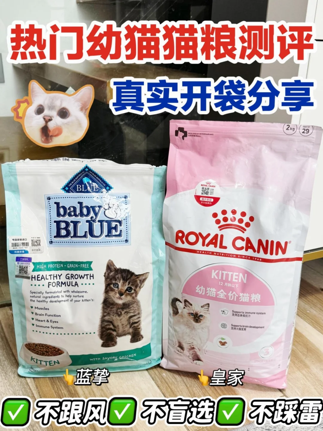 双十一猫粮蓝挚和皇家幼猫粮，选哪个？
