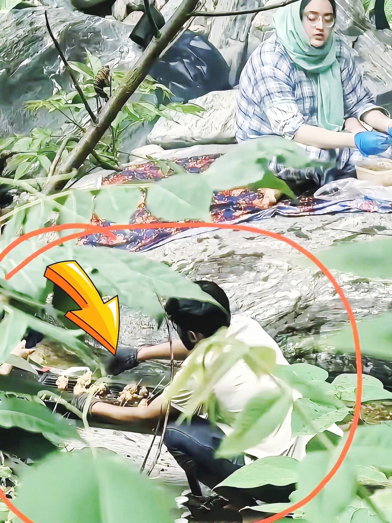 网友在西安金龙峡发现，几名印度阿三躲进秦岭半山腰的密林深处，生火搞起了烧烤。 